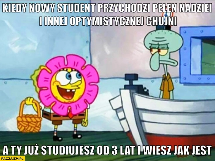 Kiedy nowy student przychodzi pełen nadziei i optymizmu a Ty już studiujesz od 3 lat i wiesz jak jest Spongebob