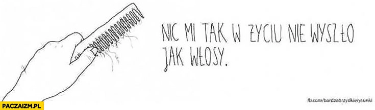 
    Nic mi tak w życiu nie wyszło jak włosy