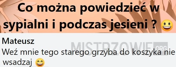 
    Co można...