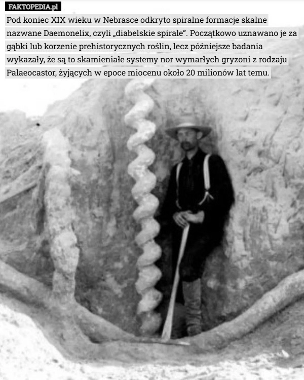 
    Pod koniec XIX wieku w Nebrasce odkryto spiralne formacje skalne nazwane