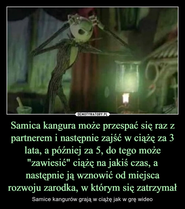 
    Samica kangura może przespać się raz z partnerem i następnie zajść w ciążę za 3 lata, a później za 5, do tego może "zawiesić" ciążę na jakiś czas, a następnie ją wznowić od miejsca rozwoju zarodka, w którym się zatrzymał