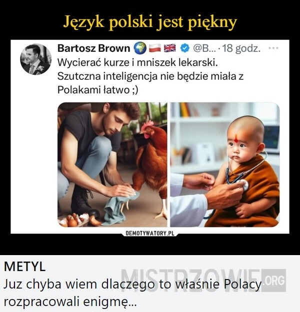 
    Język polski