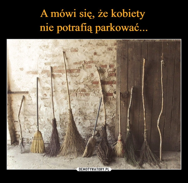 
    A mówi się, że kobiety 
nie potrafią parkować...