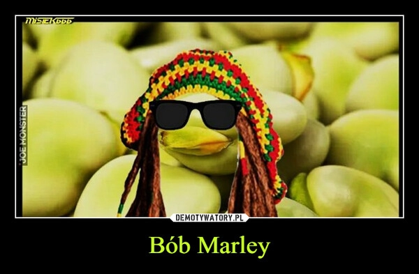 
    Bób Marley