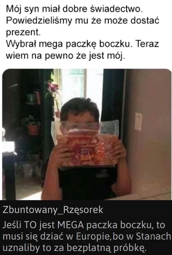 
    Świadectwo