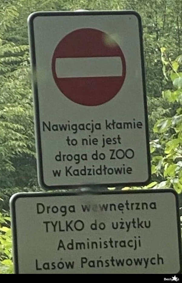 
    Nawigacja kłamie 