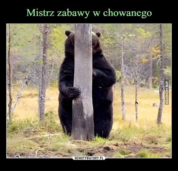 
    Mistrz zabawy w chowanego