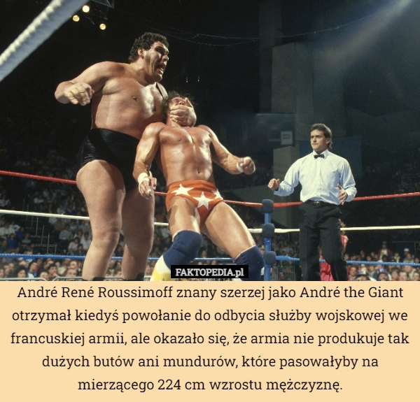 
    André René Roussimoff znany szerzej jako André the Giant otrzymał kiedyś