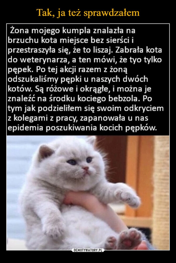 
    Tak, ja też sprawdzałem