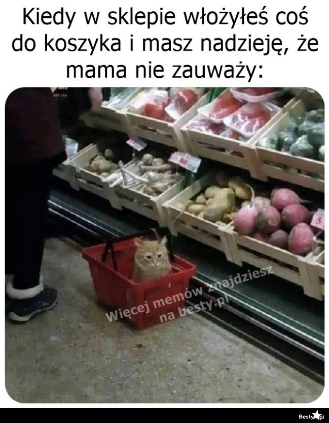 
    Oby nie zauważyła 