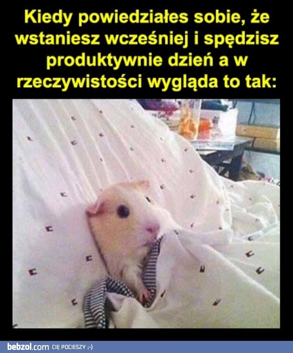 
    Jednak nie 