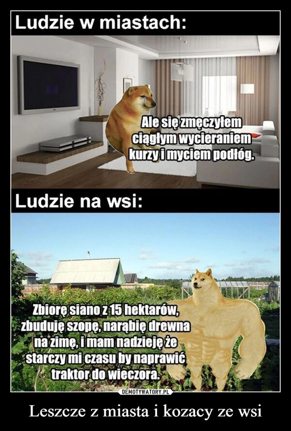 
    Leszcze z miasta i kozacy ze wsi