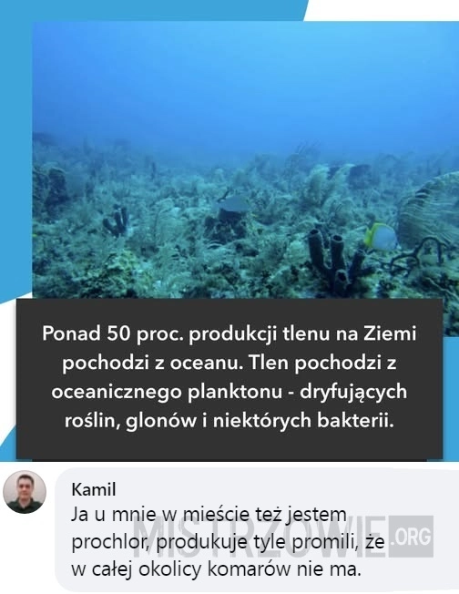 
    Tlen