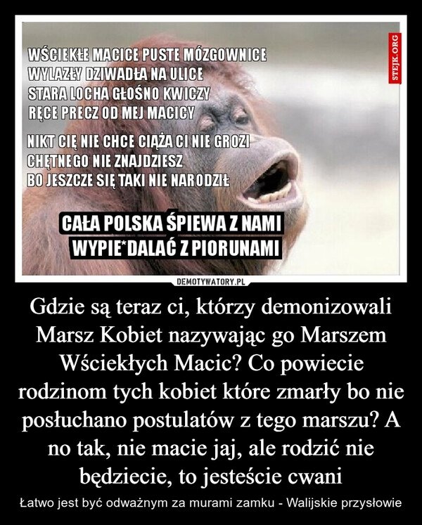 
    Gdzie są teraz ci, którzy demonizowali Marsz Kobiet nazywając go Marszem Wściekłych Macic? Co powiecie rodzinom tych kobiet które zmarły bo nie posłuchano postulatów z tego marszu? A no tak, nie macie jaj, ale rodzić nie będziecie, to jesteście cwani