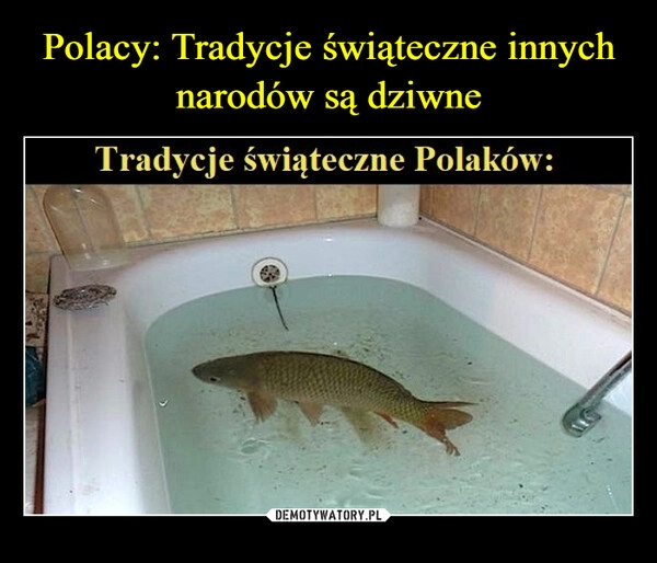 
    Polacy: Tradycje świąteczne innych narodów są dziwne