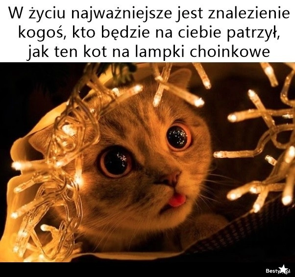 
    Prawdziwa miłość 