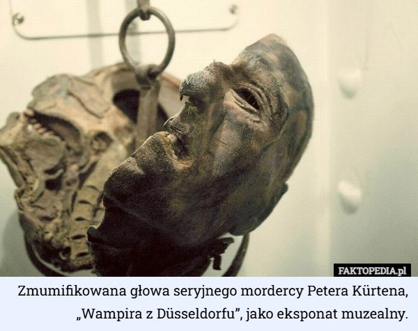 
    Zmumifikowana głowa seryjnego mordercy Petera Kürtena, „Wampira z Düsseldorfu”,