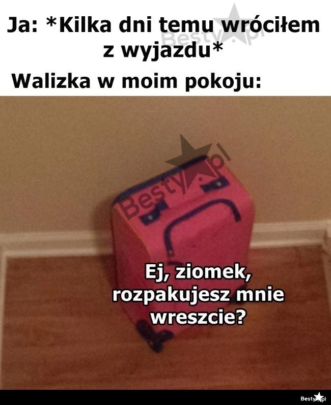 
    A walizka leży i czeka 