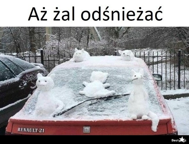 
    Żal odśnieżać 