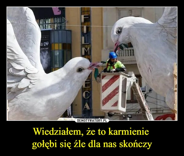 
    Wiedziałem, że to karmienie 
gołębi się źle dla nas skończy