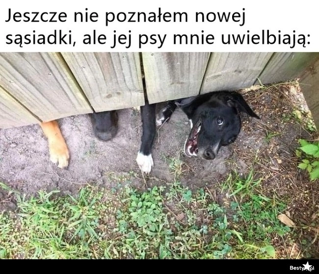 
    Nowe sąsiedztwo 