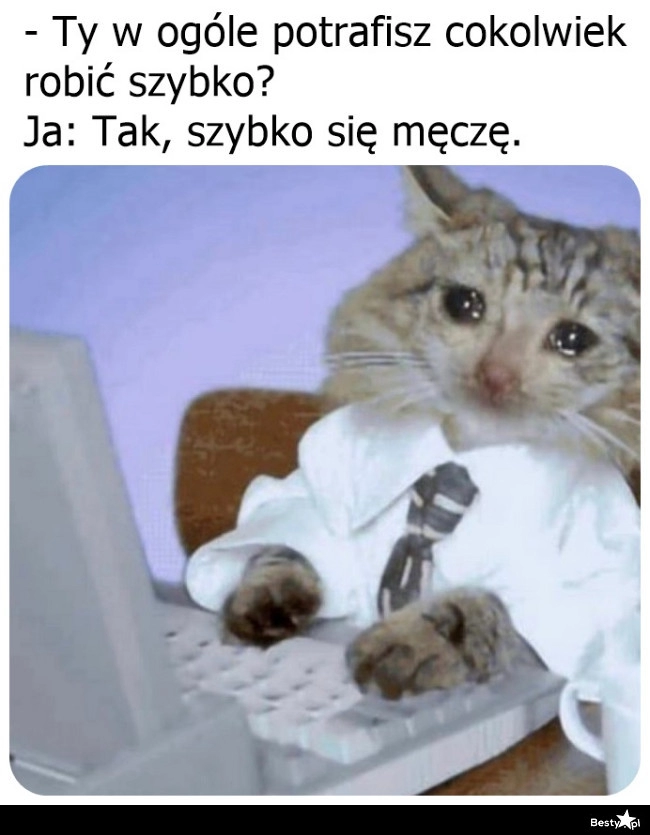 
    Zawsze to coś 