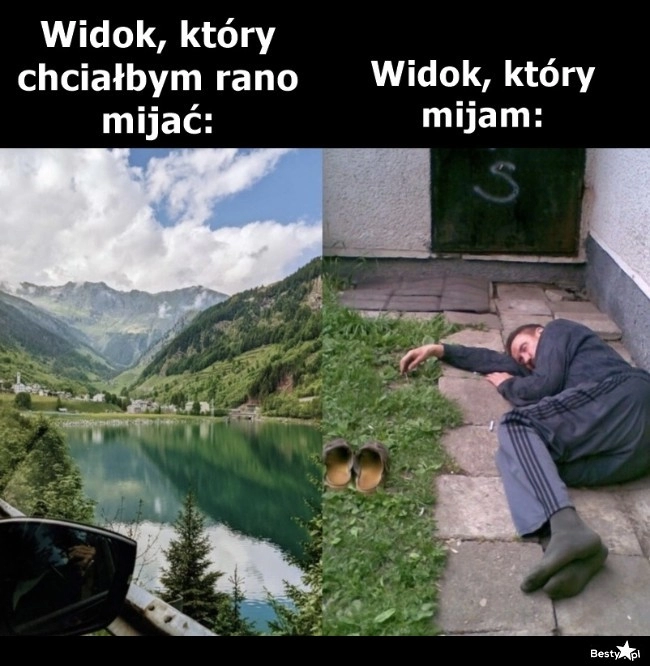 
    Widok 