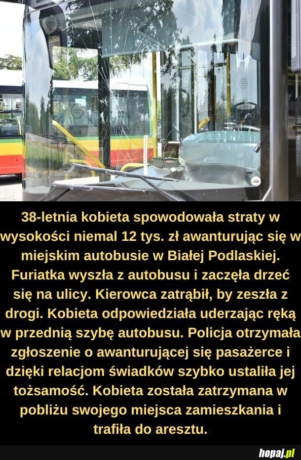 
    Pasażerka.