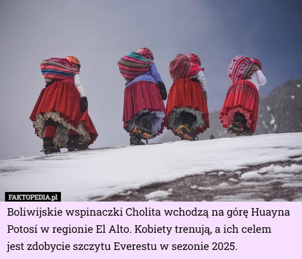 
    Boliwijskie wspinaczki Cholita wchodzą na górę Huayna Potosí w regionie...