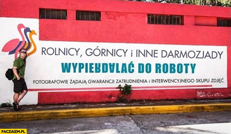 Rolnicy górnicy inne darmozjady wypierdalać do roboty fotografowie żądają gwarancji zatrudnienia i interwencyjnego skupu zdjęć