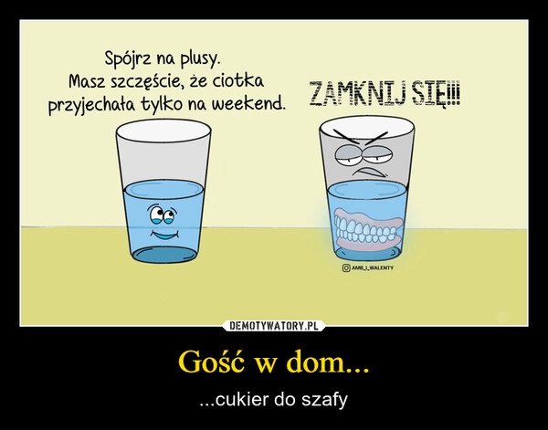 
    Gość w dom...