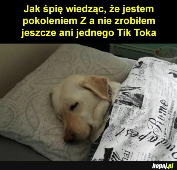 
    Wolny od Tiktoka