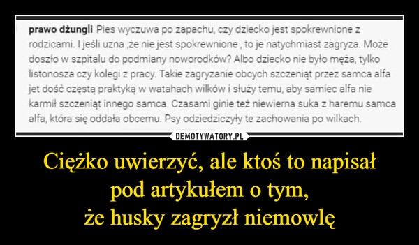 
    
Ciężko uwierzyć, ale ktoś to napisał
pod artykułem o tym,
że husky zagryzł niemowlę 