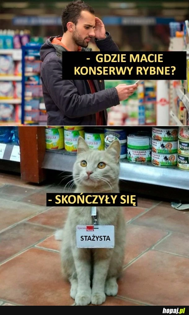 
    Stażysta