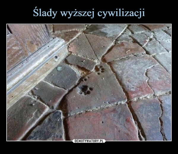 
    Ślady wyższej cywilizacji