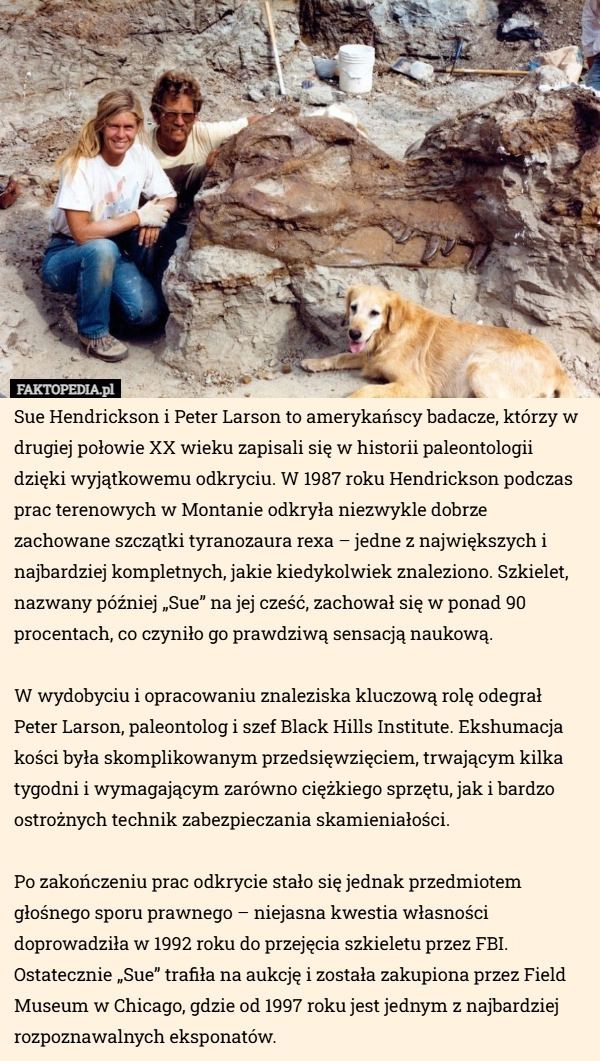 
    Sue Hendrickson i Peter Larson to amerykańscy badacze, którzy w drugiej...