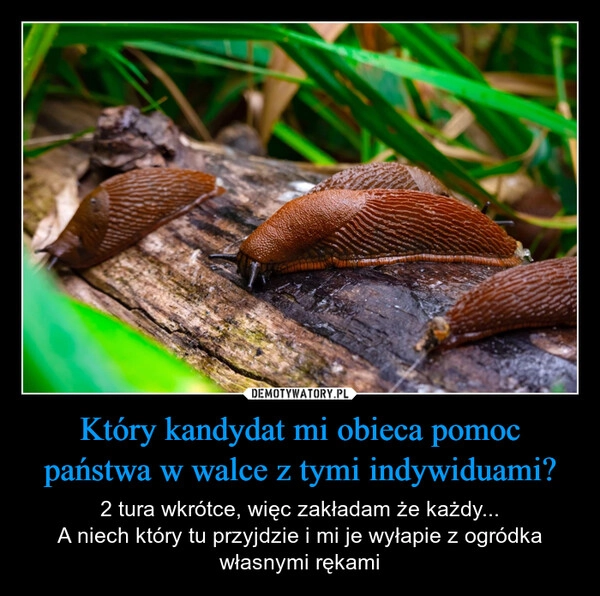 
    Który kandydat mi obieca pomoc państwa w walce z tymi indywiduami?