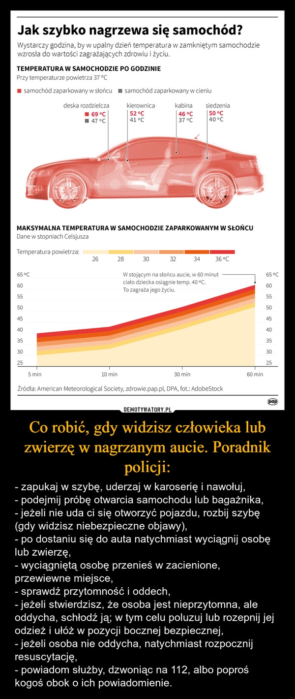 
    Co robić, gdy widzisz człowieka lub zwierzę w nagrzanym aucie. Poradnik policji: