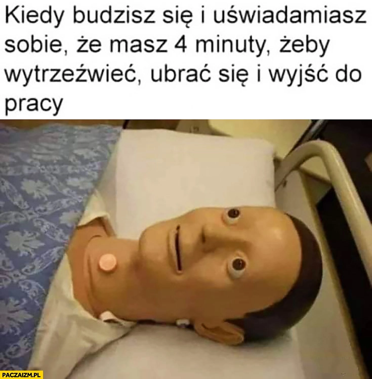 
    Kiedy budzisz się i uświadamiasz sobie, że masz 4 minuty żeby wytrzeźwieć, ubrać się i wyjść do pracy