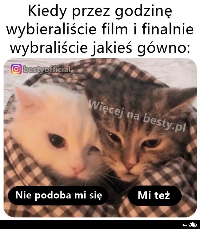 
    Pooglądane 