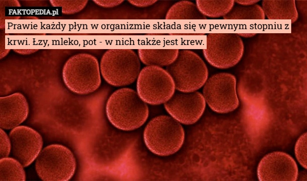 
    Prawie każdy płyn w organizmie składa się w pewnym stopniu z krwi. Łzy,