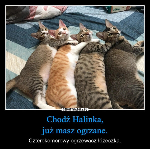 
    Chodź Halinka,
już masz ogrzane.