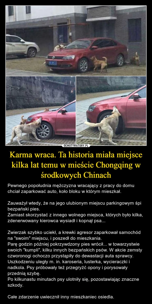 
    Karma wraca. Ta historia miała miejsce kilka lat temu w mieście Chongqing w środkowych Chinach