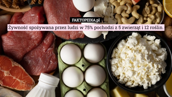 
    Żywność spożywana przez ludzi w 75% pochodzi z 5 zwierząt i 12 roślin.