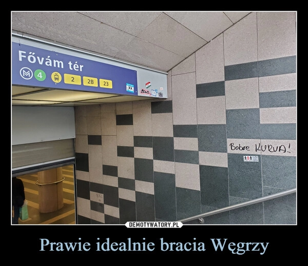 
    Prawie idealnie bracia Węgrzy