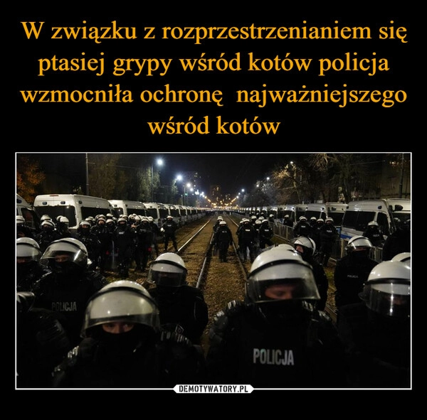 
    W związku z rozprzestrzenianiem się ptasiej grypy wśród kotów policja wzmocniła ochronę  najważniejszego wśród kotów