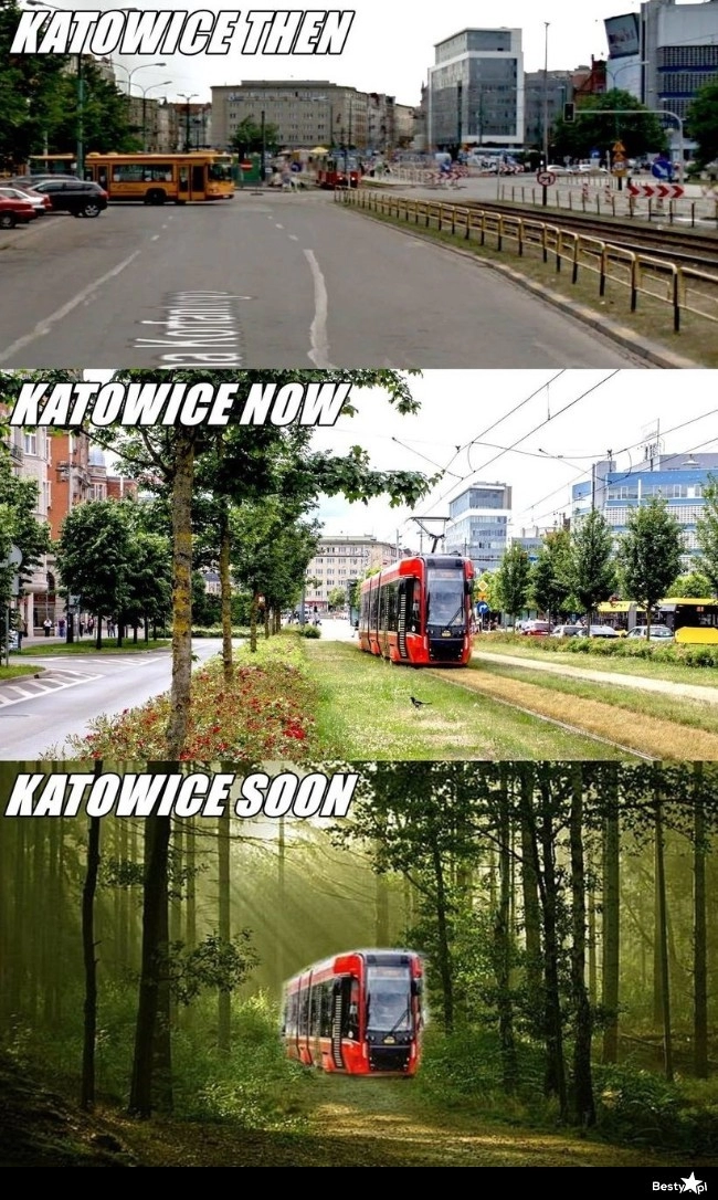 
    Katowice 