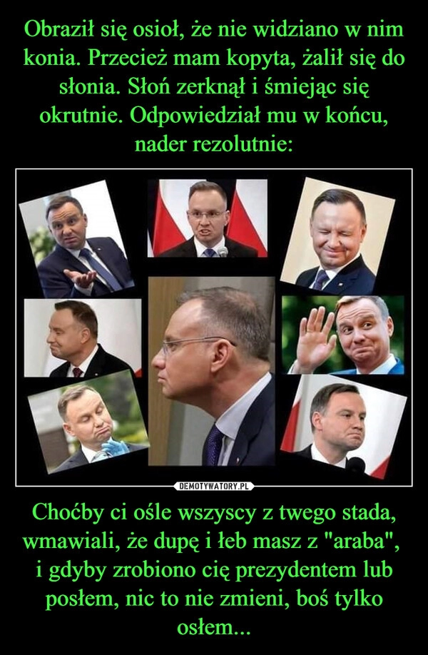 
    Obraził się osioł, że nie widziano w nim konia. Przecież mam kopyta, żalił się do słonia. Słoń zerknął i śmiejąc się okrutnie. Odpowiedział mu w końcu, nader rezolutnie: Choćby ci ośle wszyscy z twego stada, wmawiali, że dupę i łeb masz z "araba", 
i gdyby zrobiono cię prezydentem lub posłem, nic to nie zmieni, boś tylko osłem...