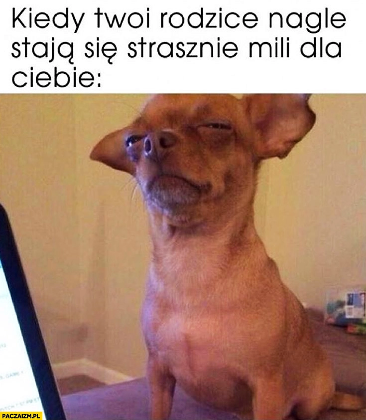 
    Kiedy Twoi rodzice nagle stają się strasznie mili dla Ciebie podejrzliwy pies