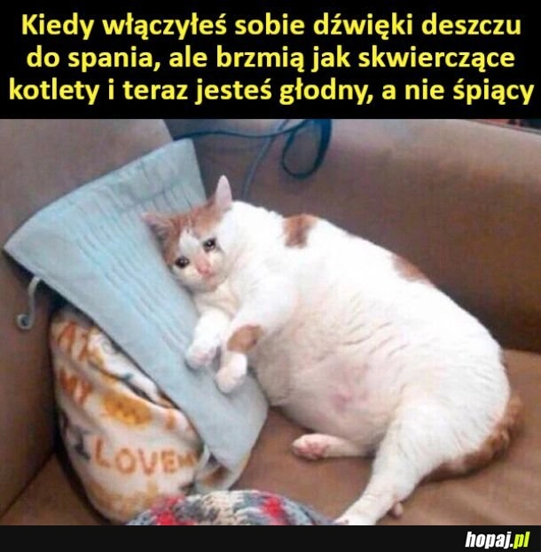
    Dźwięki deszczu
